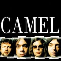 Camel - Master Series