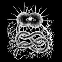 Kaltesblut - Noctuary