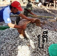 Ninja McTits - ត្រី