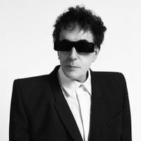Peter Perrett - I Wanna Go With Dignity