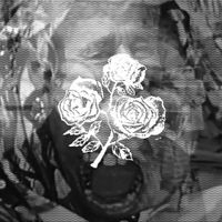 Cop Funeral - Fragile Men