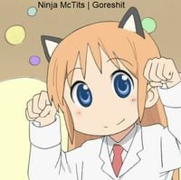 Ninja McTits - Goreshit
