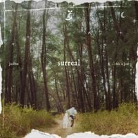 justin - surreal
