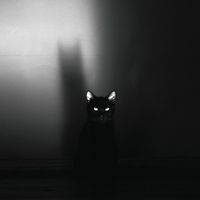 SIAMES - I Promise Myself
