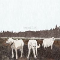 Carly Cosgrove - Bloodhound