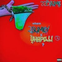 2slimey - SsoSlime