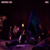 DICE - Midnight Zoo
