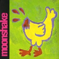 Moonshake - Secondhand Clothes
