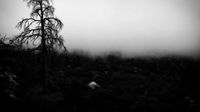 I. - Vestiges of Self