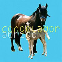 Congelador - Abrigo