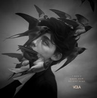 VOLA - I Don't Know How We Got Here