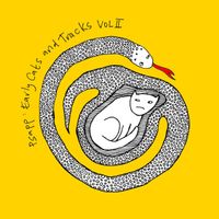 Psapp - Early Cats and Tracks Vol 2