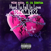 Wzrd Micha - Hard To Fall In Love Remix