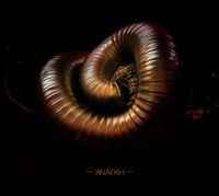 Collapse - ἈN​&Aacute;​&Gamma;​KH