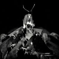 Les Marquises - A Night Full Of Collapses