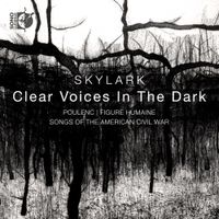 Skylark - Clear Voices in the Dark