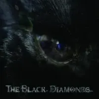 Sadie - The Black Diamonds