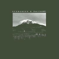 Richy Mitch & the Coal Miners - Evergreen