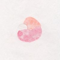 Daigo Hanada & Yoko Komatsu - Where Clouds Are Born