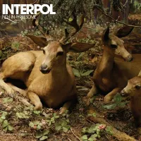 Interpol - No I In Threesome