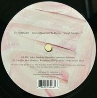 DJ Sprinkles - Queerifications & Ruins Vinyl Sampler 1