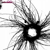 Ceebrolistics - &Ouml;