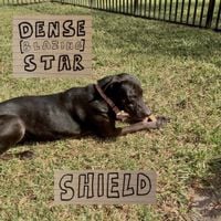 Dense Blazing Star - Shield