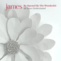 James - Love Make a Fool