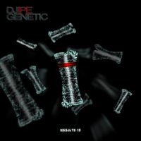 Djipe - Genetic