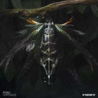 Posij - Chrysalis