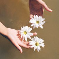 Asi Kemera - as the waves