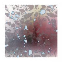 The Avulsions - Expanding Program
