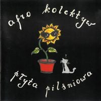 Afro Kolektyw - Płyta Pilśniowa