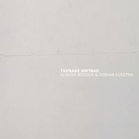 Sega Bodega - Teenage Dirtbag