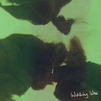 BERRIES - Watching Wax