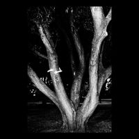 Jouska - From Elson To Emmett