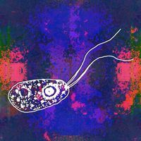 Tufty - Brain Eating Amoeba