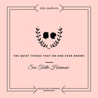 Sea Turtle Harmonic - The Quiet Things That No One Ever Knows