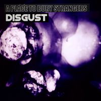 A Place to Bury Strangers - Disgust