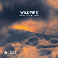 Dokho & Banaati - Wildfire