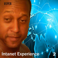 Viper - Intanet Experience 2