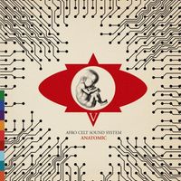 Afro Celt Sound System - Anatomic