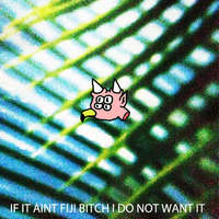 Metro Zu - If it Ain't Fiji Bitch I Do Not Want it
