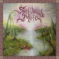 Spellbound Mire - Spellbound Mire