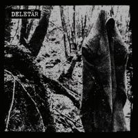 Delet&auml;r - S/T