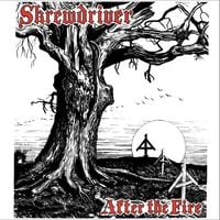 Skrewdriver - After The Fire