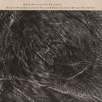 Harold Budd - The Moon and the Melodies
