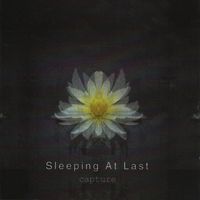 Sleeping At Last - Capture