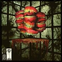 Melted Bodies - The Inevitable Fork LP