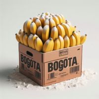 Capital Bra - NARCO NARCO